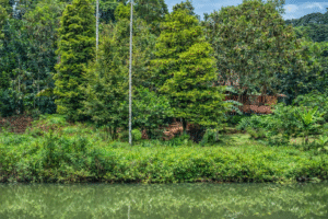 chatgpt image jan 13, 2026, 09 24 17 pm