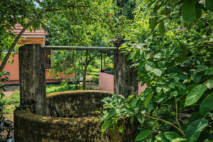 chatgpt image jan 13, 2026, 09 38 03 pm