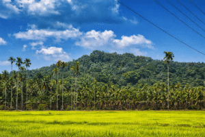 chatgpt image jan 13, 2026, 09 41 12 pm